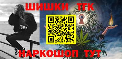 индика Дубна