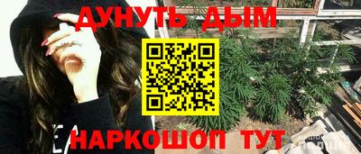 индика Дубна