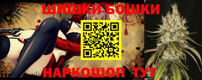 индика Дубна