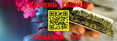 индика Дубна