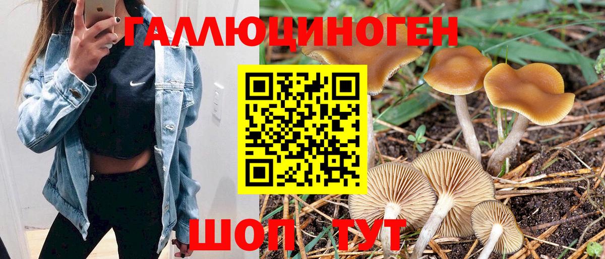 Псилоцибиновые грибы Magic Shrooms  Вход с VPN  Галлюциногенные грибы Psilocybe  Курганинск 