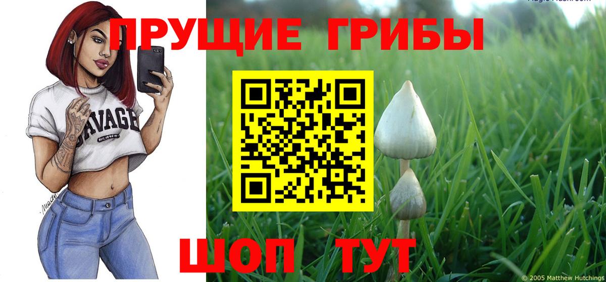 Галлюциногенные грибы мухоморы Курганинск